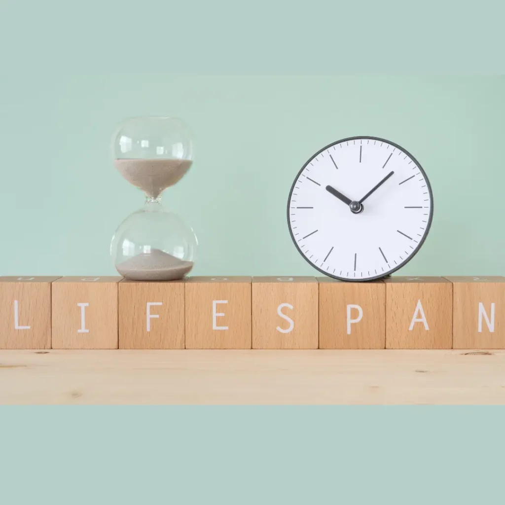 An hourglass and a clock sit on top of blocks spelling out “lifespan.”