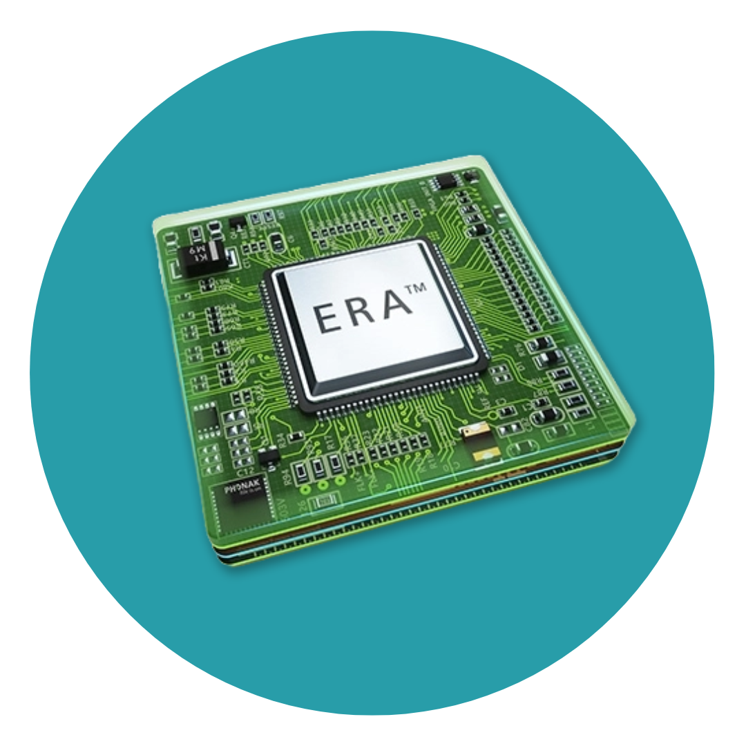 era Era Chip