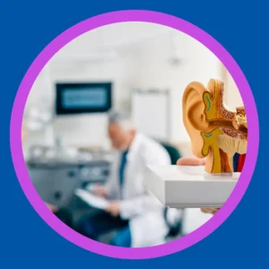 An audiologist sits in an office with an model of an ear. 