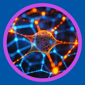 A web of orange lines conveys a deep neural network. 
