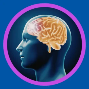 A yellow brain sits inside of a blue head outline. 